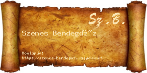 Szenes Bendegúz névjegykártya